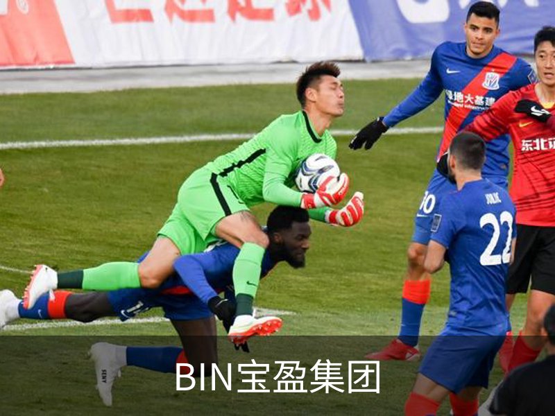 关于BIN宝盈集团